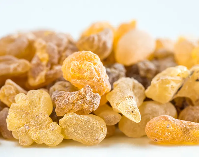 Boswellia Serrata
